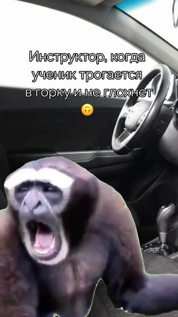 Радуйте своих инструкторов