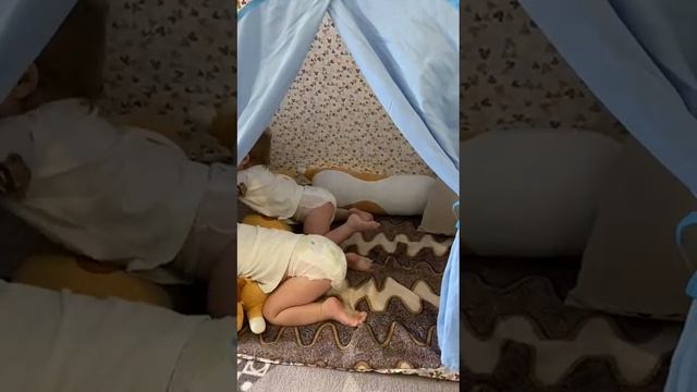 13 августа в палатке