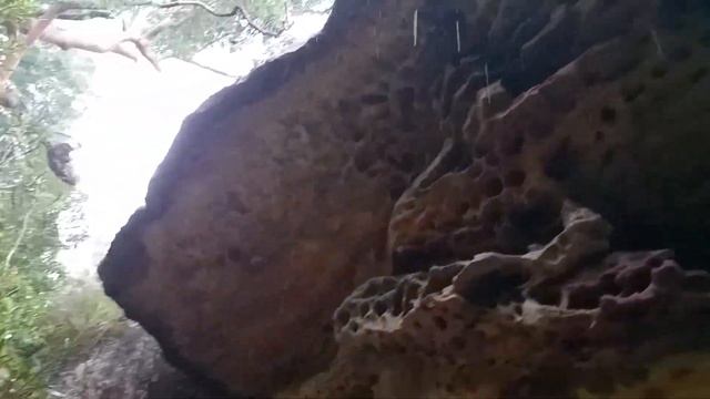 Лесные скалы