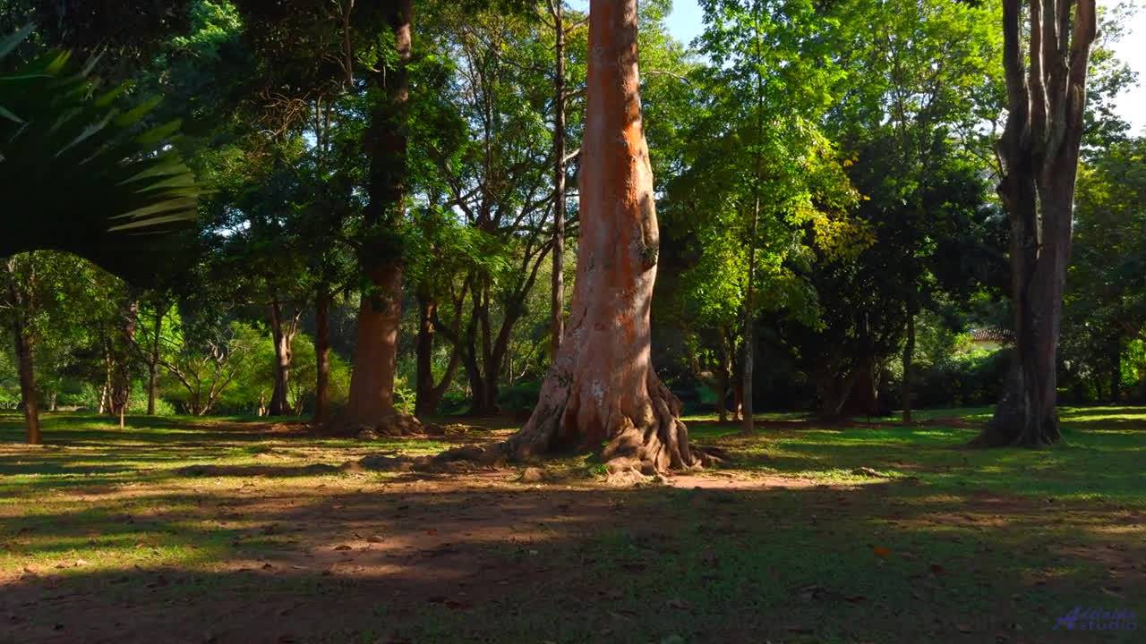 Огненный закат и пламенный бит! - Track 06 -- Berbere Superstar -- The Best Things Are Never Recorde