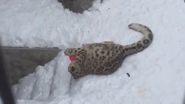 Уиии :3