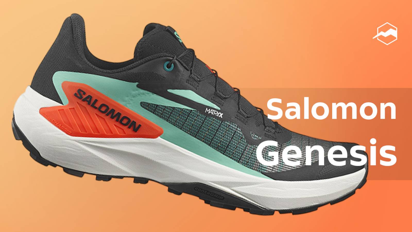 Кроссовки Salomon Genesis