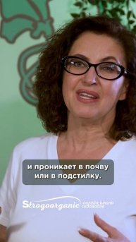 Что лучше для почвы: коровий навоз или куриный помет? М