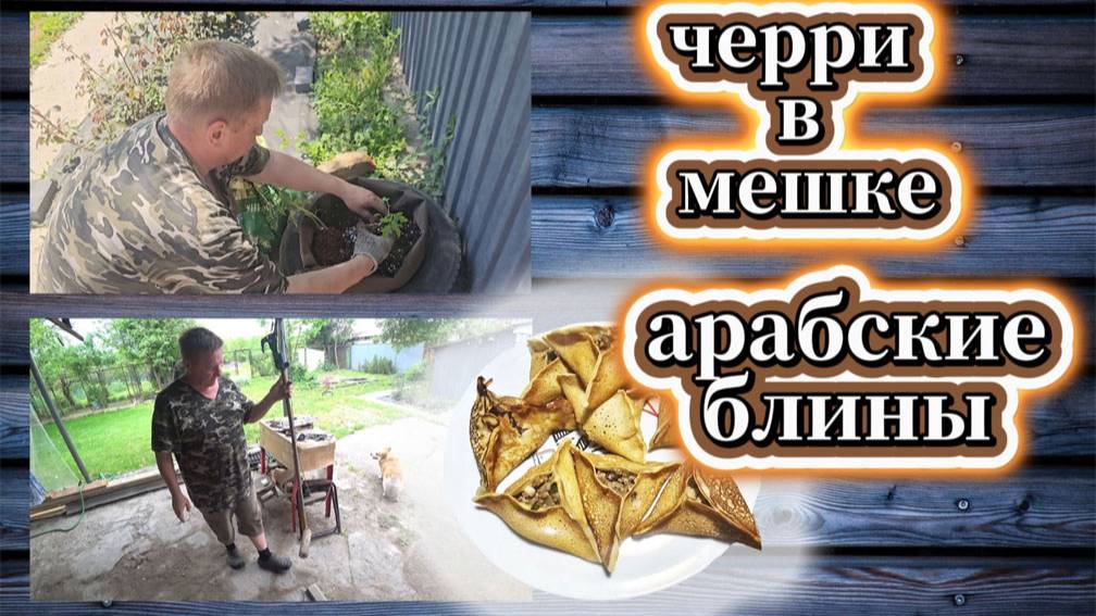 73-25! VLOG ОЧИСТИЛИ САД/НАШЛИ СУЧКОРЕЗ/ПОСАДИЛИ ЧЕРРИ В МЕШОК/ПРИГОТОВИЛА АРАБСКИЕ БЛИНЫ