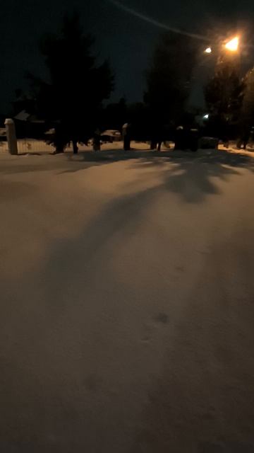 Зимним вечером
