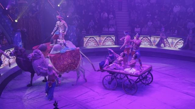Когда время замирает под куполом цирка 🎪