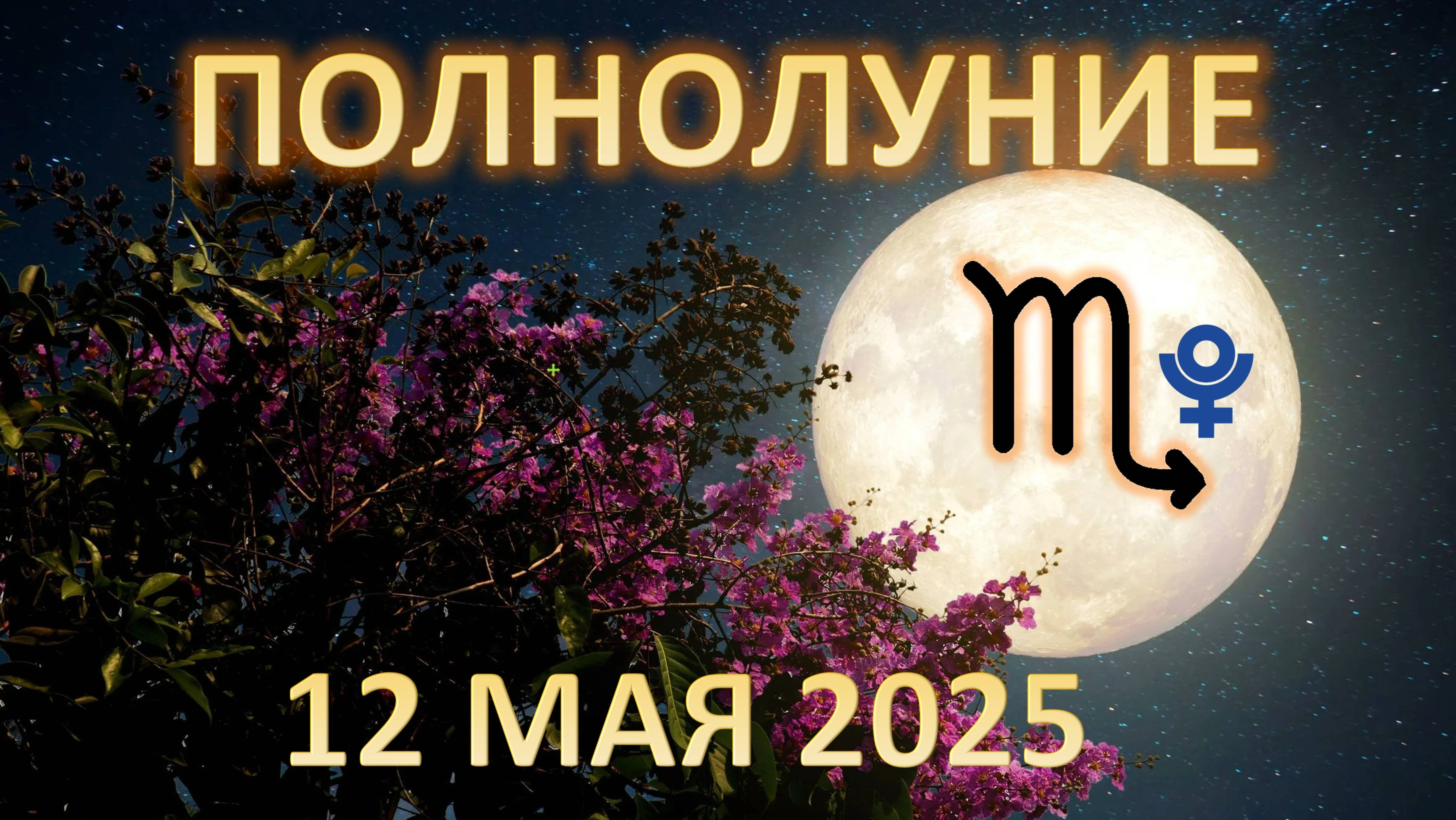 🌕 ПОЛНОЛУНИЕ ♏️|12 МАЯ | Прогноз для всех знаков