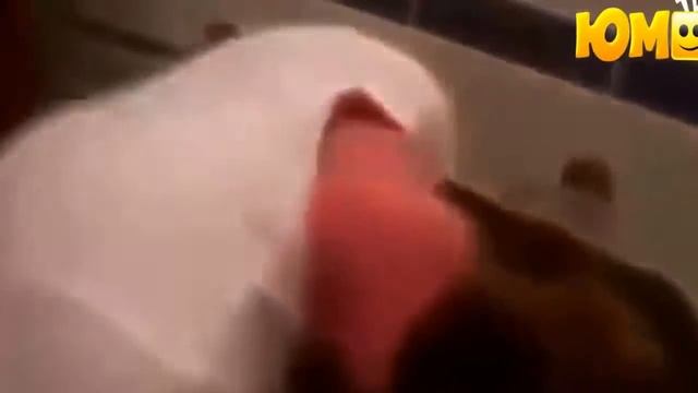 ПЬЯНЫЕ ДЕВУШКИ ЗАЖИГАЮТ ЗРЕЛИЩЕ НЕ ДЛЯ СЛАБО НЕРВНЫХ ТОЛЬКО ДЛЯ ВЗРОСЛЫХ ПРИКОЛЫ 2017