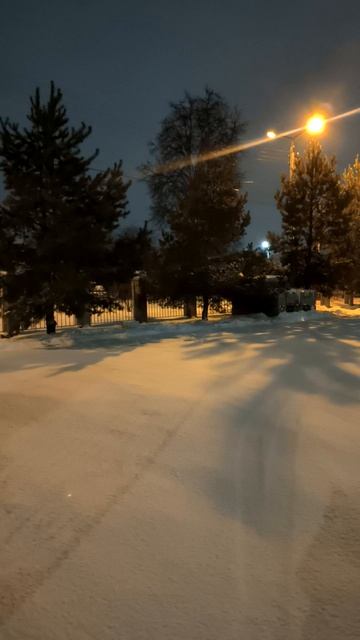 Вечерняя метель