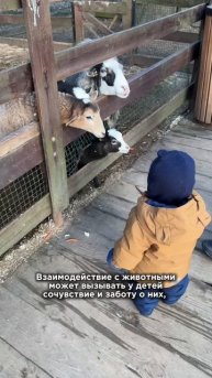 Как зоопарки влияют на детей