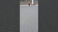школа🎒