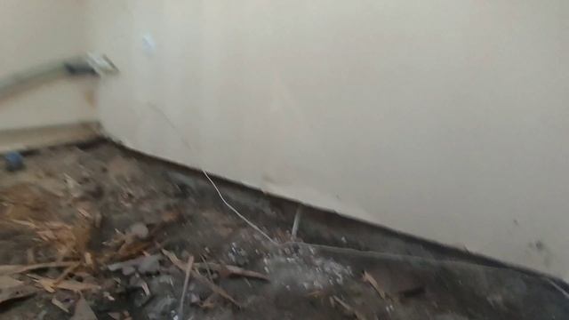 ЕЙСК.РЕМОНТ НА КУХАРЕНКО.ДЕМОНТАЖ ДЕРЕВЯННОГО ПОЛА.
