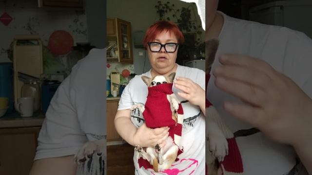 Купила Сене свитер на распродаже 😂 будем ушивать
