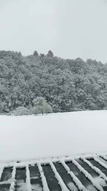 Модульные дома Apple.