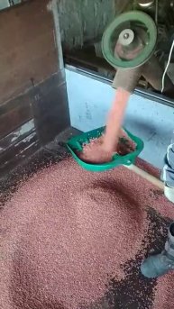 самодельный протравитель зерновых