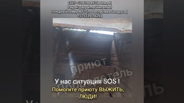 1000075344.mp4