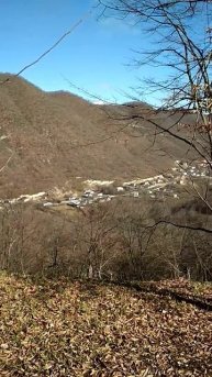 Самый красивый огород в мире