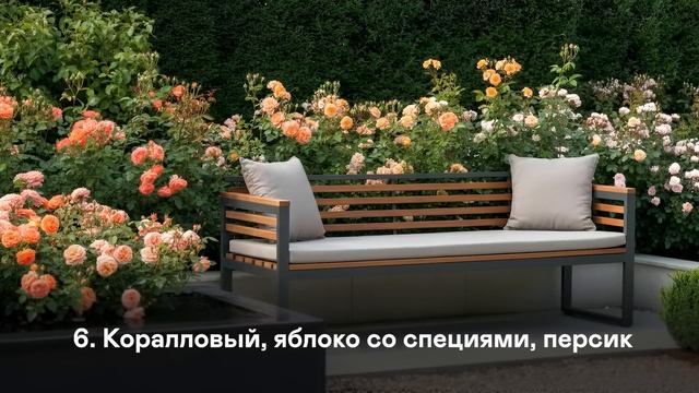 Именно Так Сочетают Растения Ландшафтники! Рассказал?
