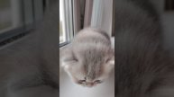 1 месяц