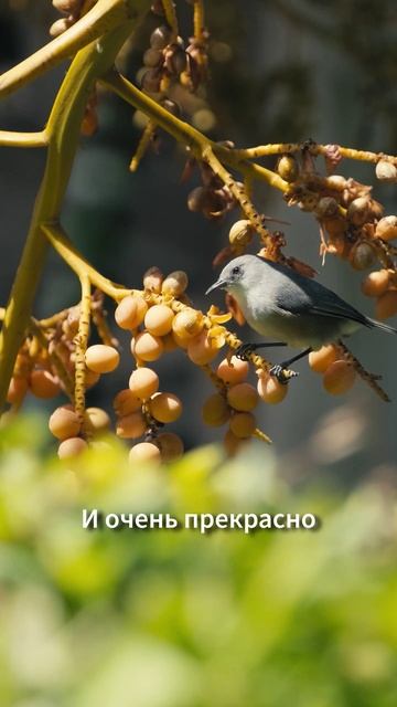 Как Декабрь Испортил мне Жизнь