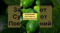 Чем Полезны Огурцы?