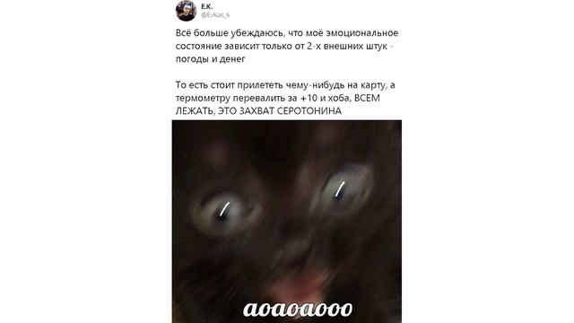 Приколы с котами. АДСКИЕ КОТЫ | Мемозг #233