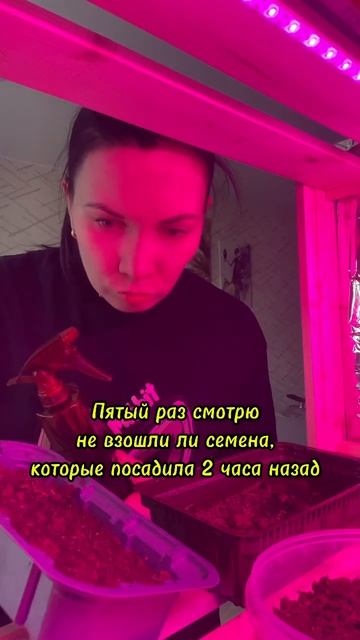 Проверяем рассаду 😅 #вавилы #ЮМОР #ктотакойже #хочуле?