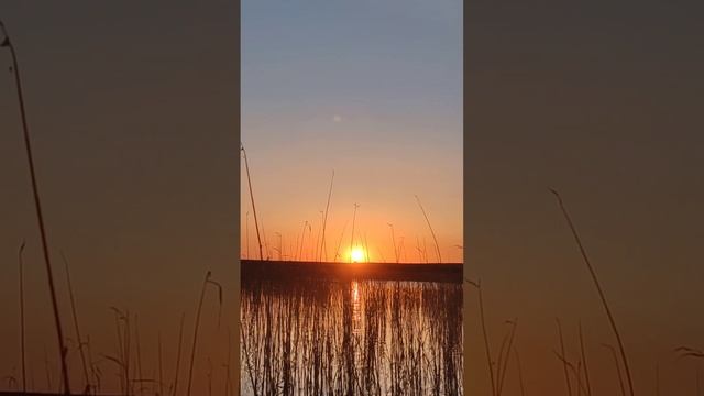 Новое утро
