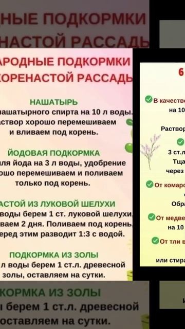 Лунный посевной календарь огородника.