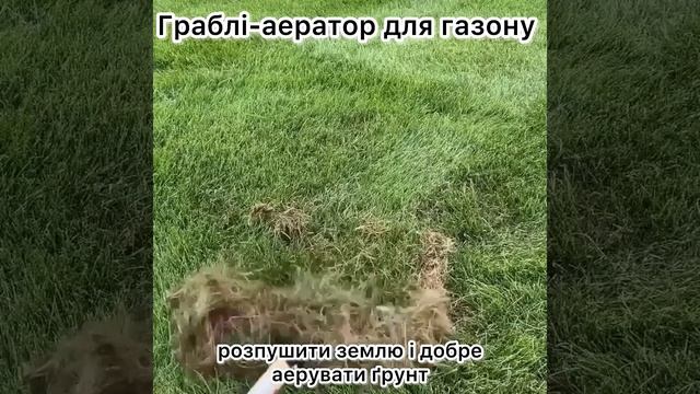 Граблі-аератор для газону