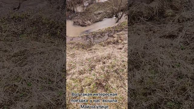 1000007659.mp4