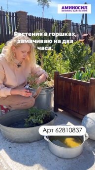 Как помочь растениям быстрее адаптироваться в новых условиях.