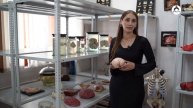 Знаете ли вы? Общие факты