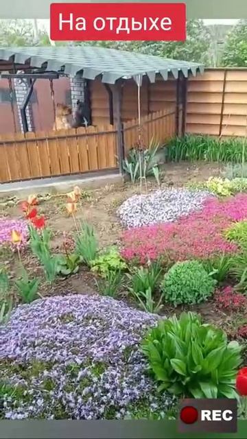 IMG_20250506_150744_683.mp4