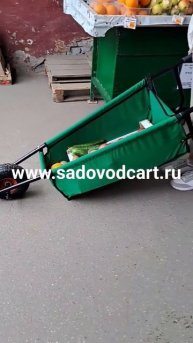 #garden #beautiful #music #shorts #youtube #дача #сад #тачка #cart #love #flowers #sado