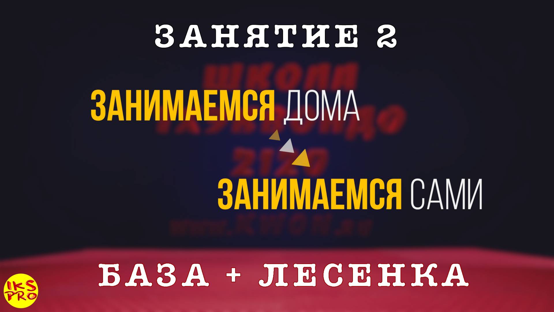 Онлайн тренировка Тхэквондо №2