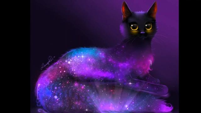звёздо косма кошка   star cat