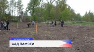 Дубы и сирень украсили деревню Савёлово в память о героях