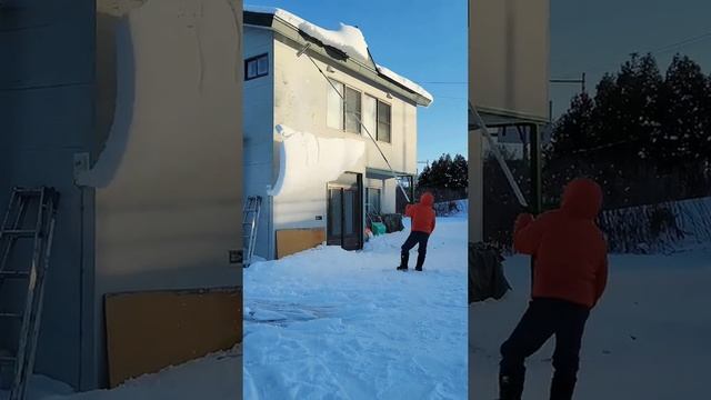 #подмикроскопом #наука #микромир #интересно #микроскоп