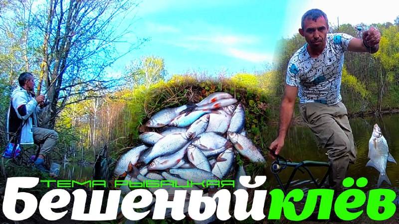 С такой рыбалки НЕ ХОТЕЛОСЬ УЕЗЖАТЬ! Клёв БЕЗ ПЕРЕРЫВА!
