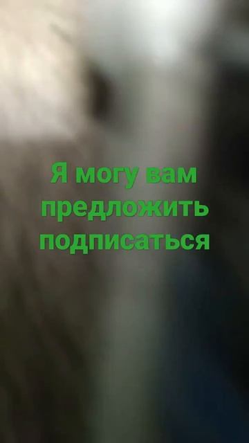 Это Тачки садовые