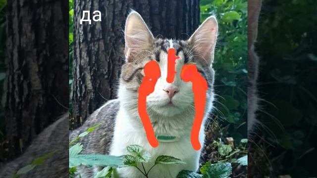 комикс Кот убийца 11 часть