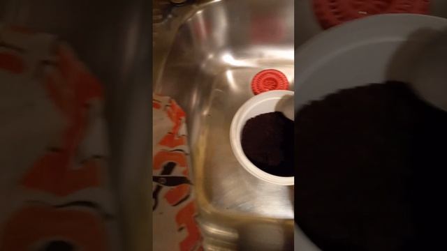 Пересадка  КАКТУСА   в  другой  горшок.