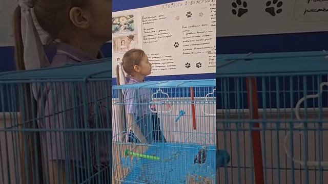 Катя, о выборе профессии - ветеринар. 2Г класс.