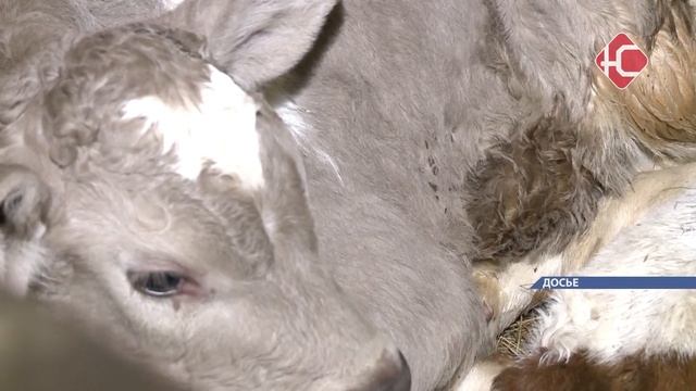 В Югре объявлен отбор участников «Школы фермера»