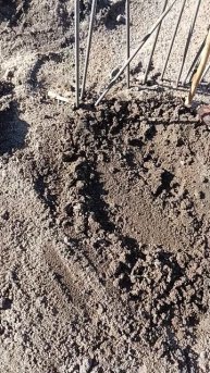 КАК ПОЙМАТЬ ВОРОНА