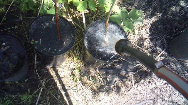Полив ЗКС