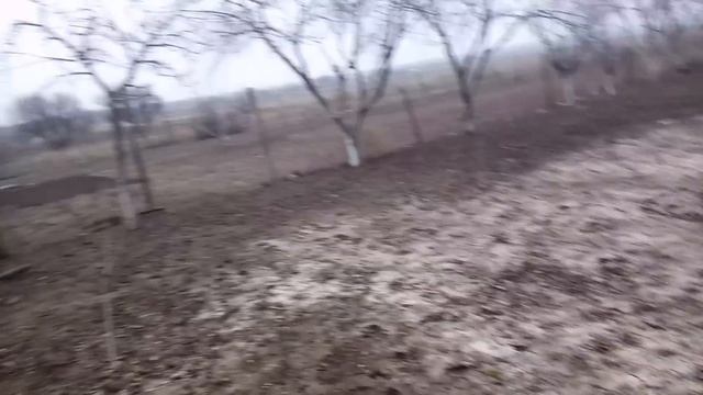 болею но я с вами