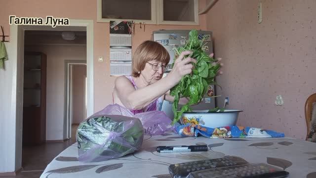 Дела домашние и огородные// заготовка щавеля//отвечу на комментарии