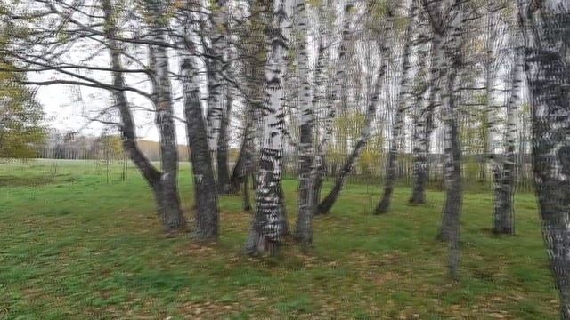 Осенний драйв